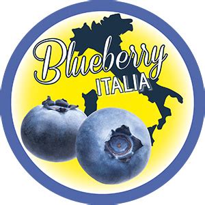 blueberry italia